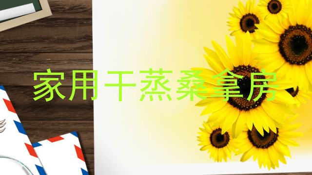 家用干蒸桑拿房
