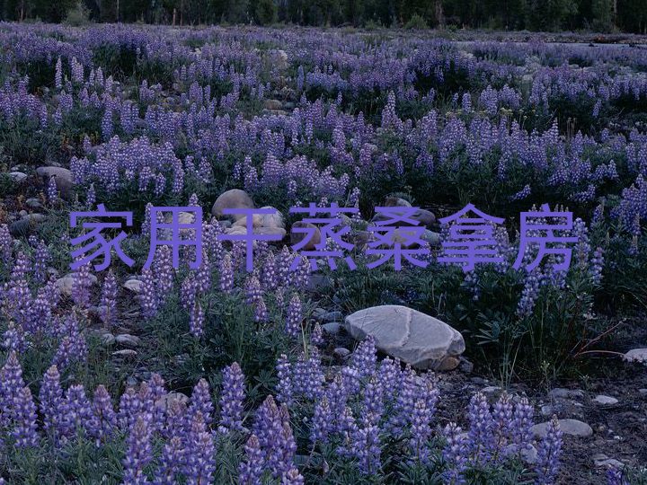 家用干蒸桑拿房