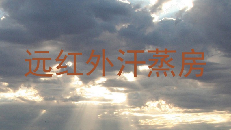 远红外汗蒸房