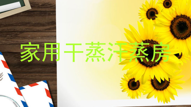 家用干蒸汗蒸房