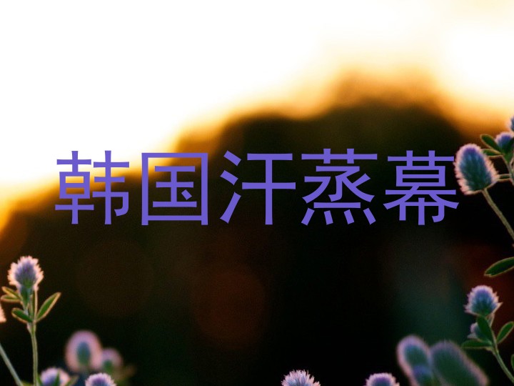 韩国汗蒸幕