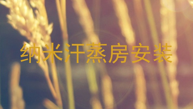 纳米汗蒸房安装