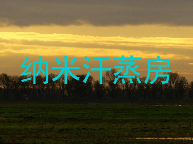 纳米汗蒸房