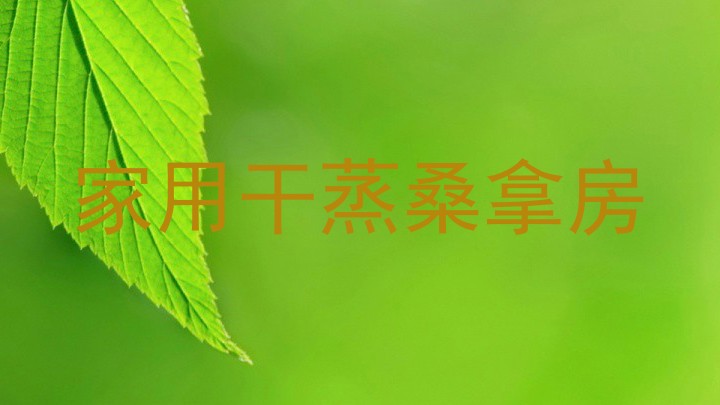 家用干蒸桑拿房