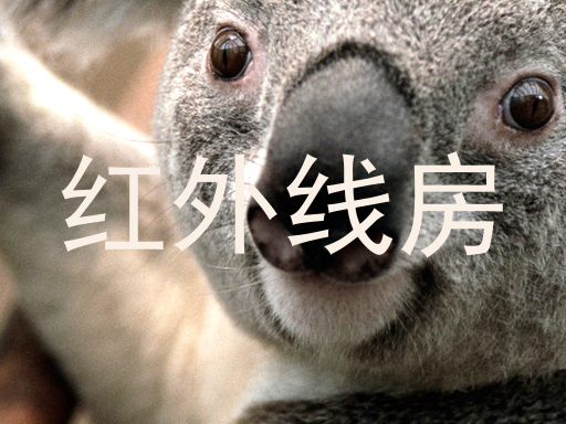 红外线房