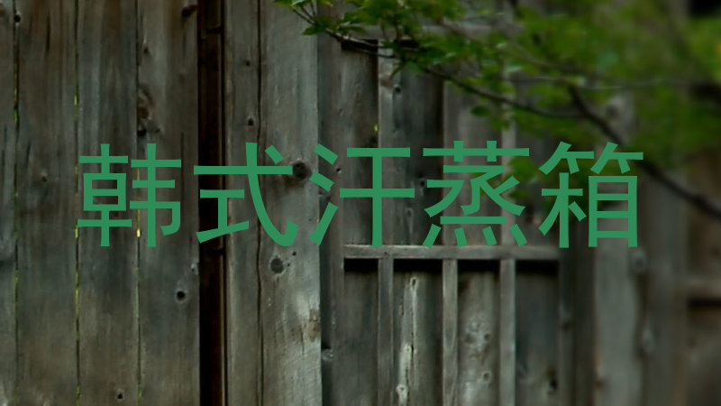 韩式汗蒸箱