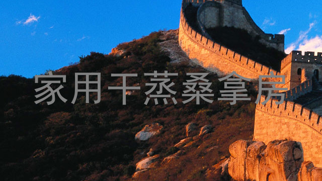 家用干蒸桑拿房