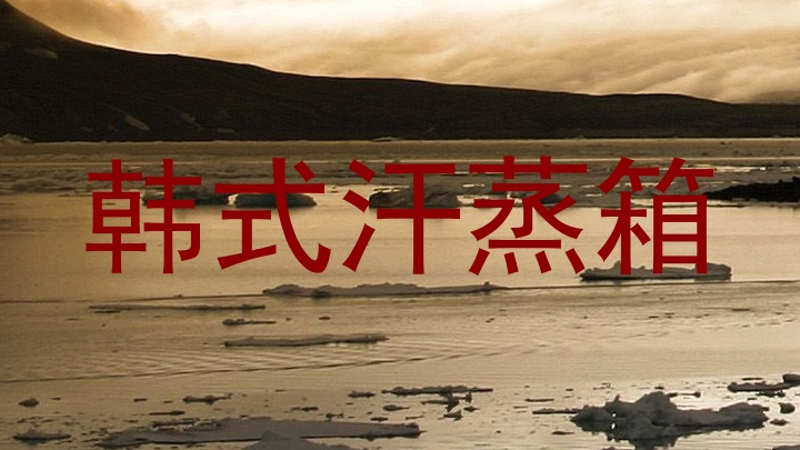 韩式汗蒸箱