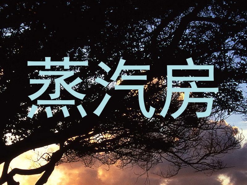 蒸汽房