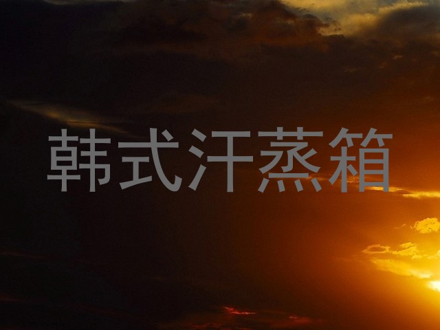 韩式汗蒸箱