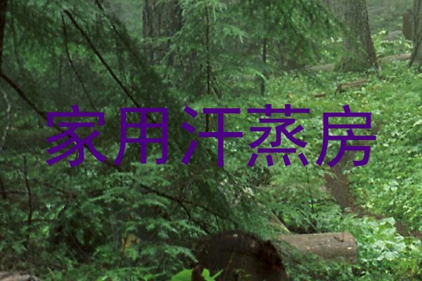 家用汗蒸房
