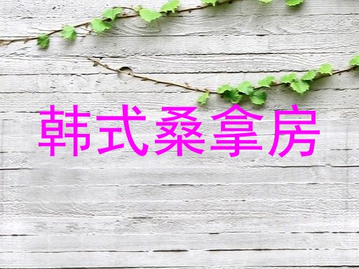 韩式桑拿房