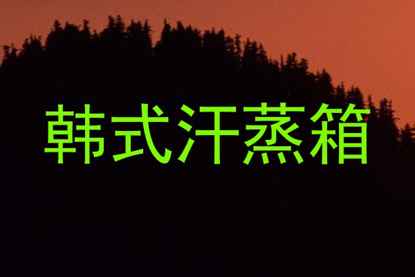 韩式汗蒸箱