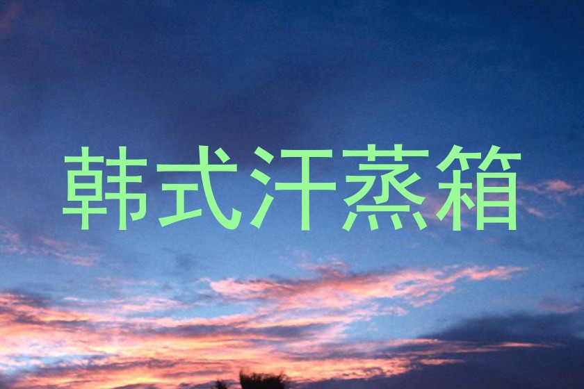 韩式汗蒸箱