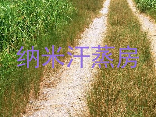 纳米汗蒸房