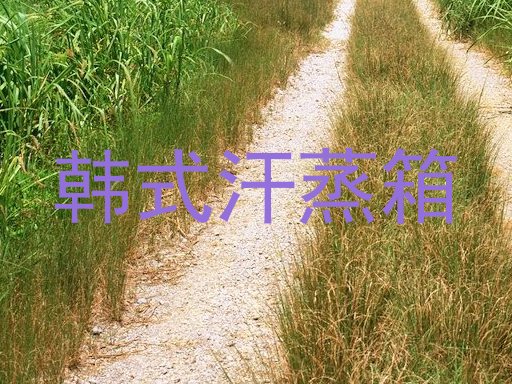 韩式汗蒸箱