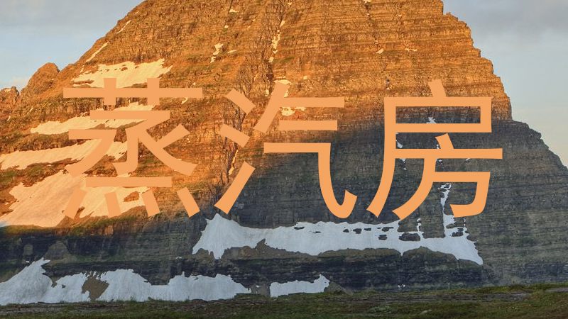 蒸汽房