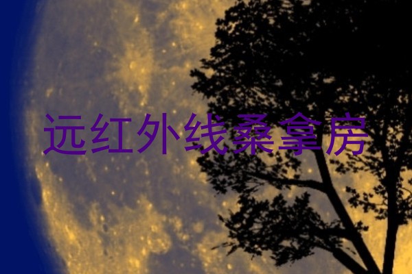 远红外线桑拿房