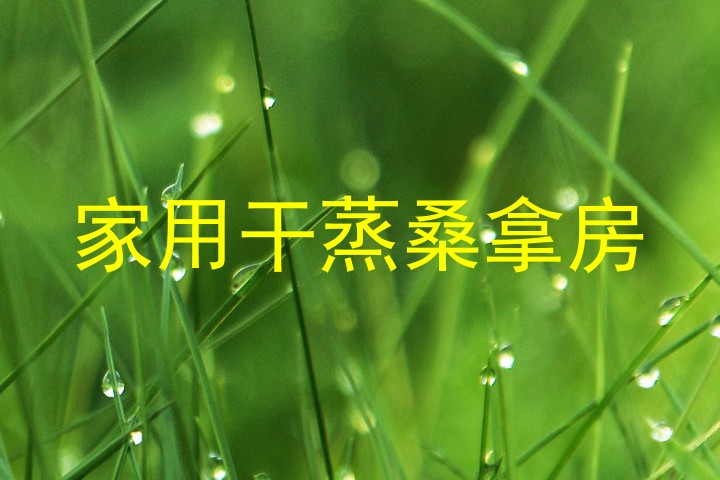 家用干蒸桑拿房