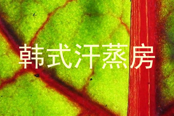 韩式汗蒸房