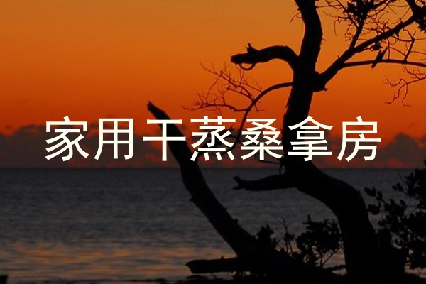 家用干蒸桑拿房