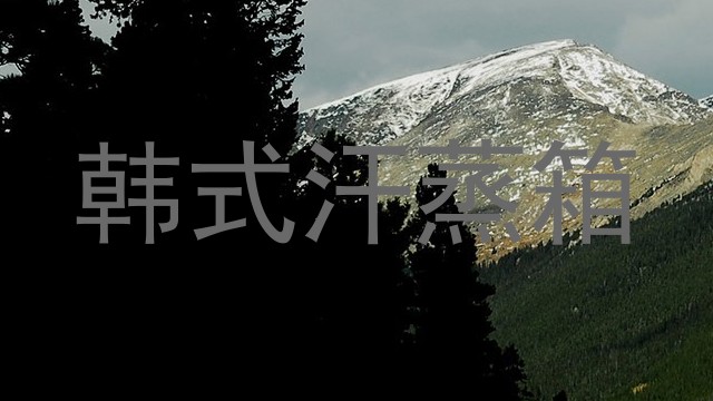 韩式汗蒸箱