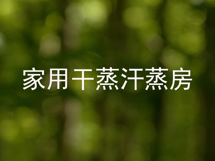 家用干蒸汗蒸房