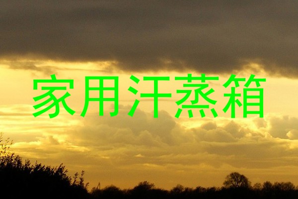 家用汗蒸箱