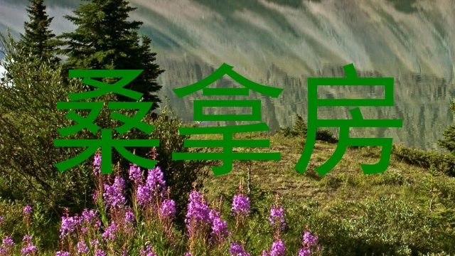 桑拿房