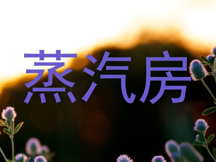蒸汽房