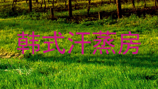 韩式汗蒸房