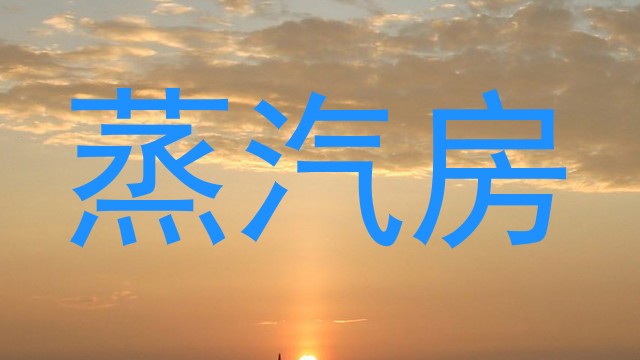 蒸汽房