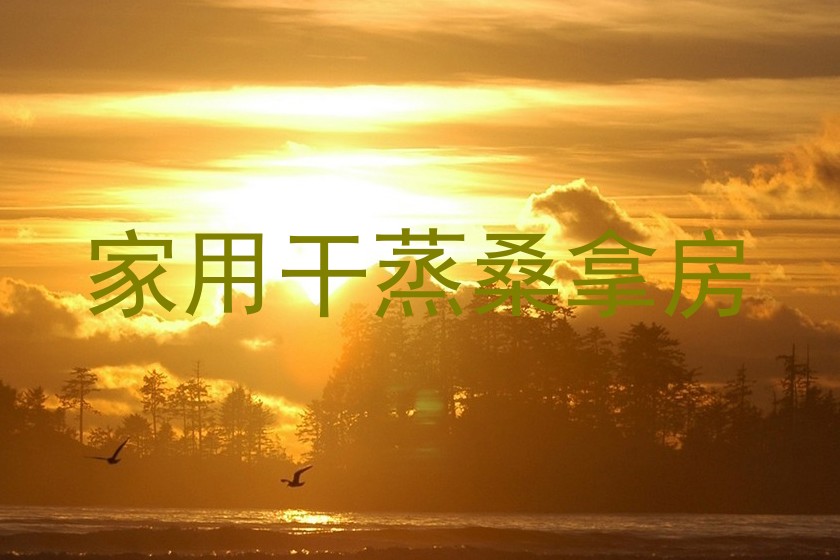 家用干蒸桑拿房