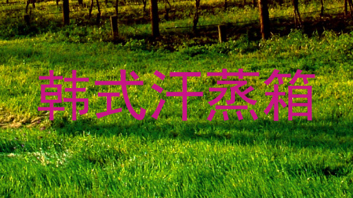 韩式汗蒸箱