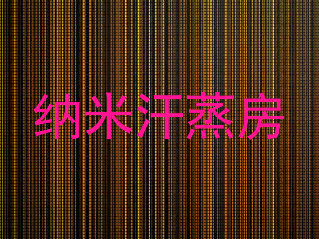 纳米汗蒸房