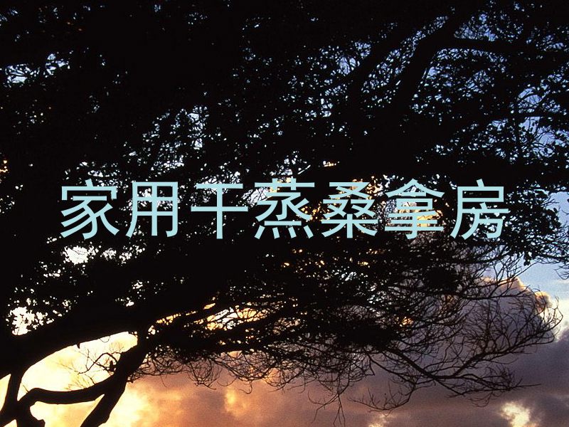 家用干蒸桑拿房