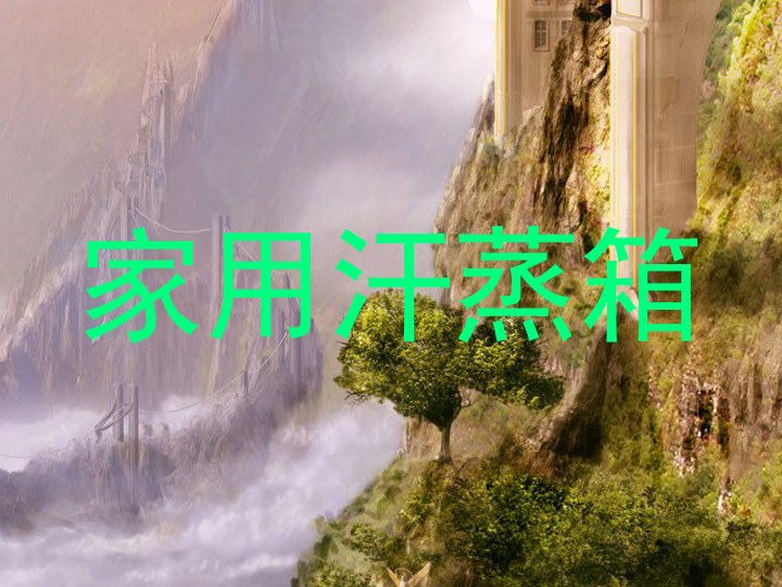 家用汗蒸箱