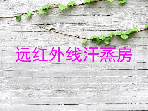 远红外线汗蒸房