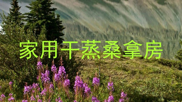 家用干蒸桑拿房
