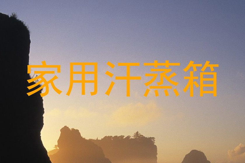 家用汗蒸箱