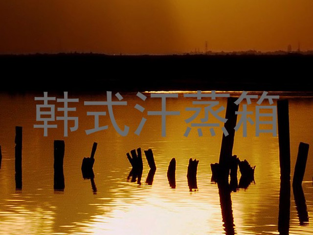 韩式汗蒸箱