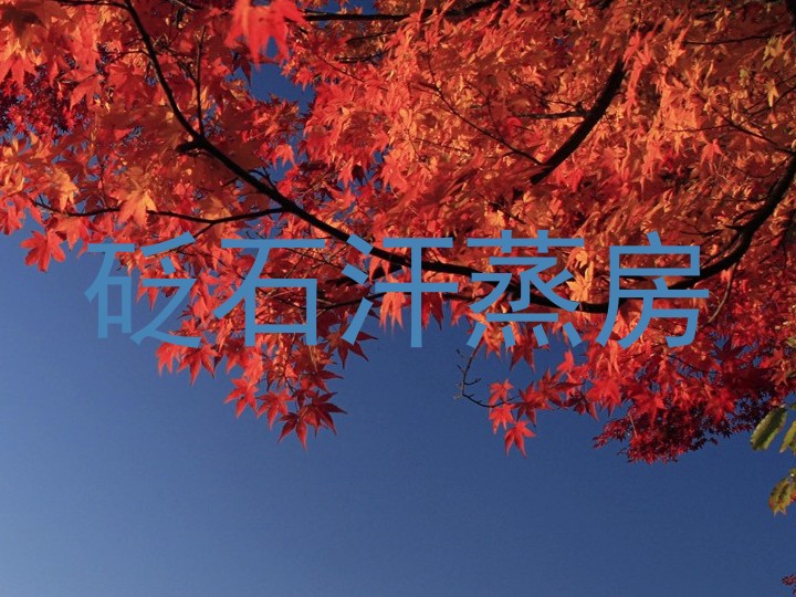 砭石汗蒸房
