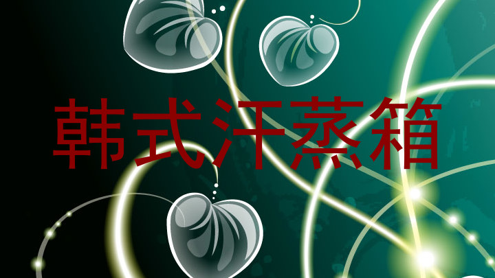 韩式汗蒸箱