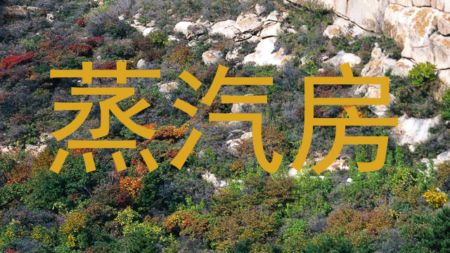 蒸汽房
