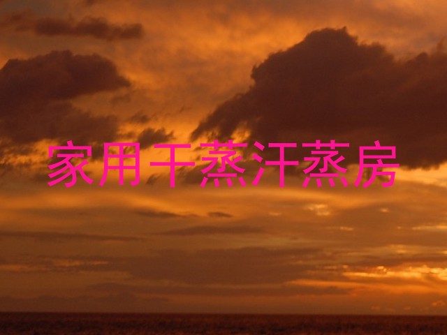 家用干蒸汗蒸房