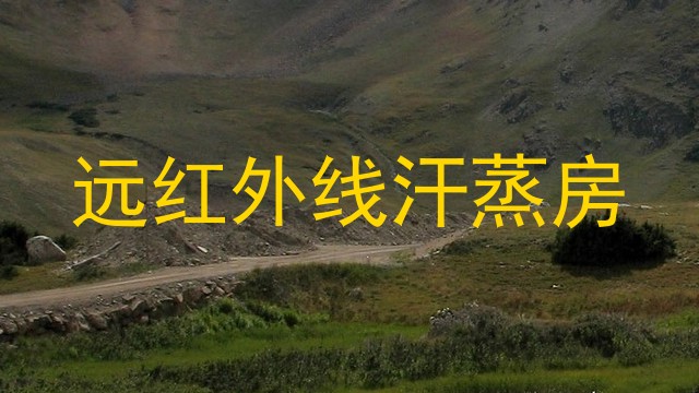 远红外线汗蒸房