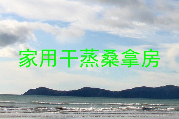 家用干蒸桑拿房