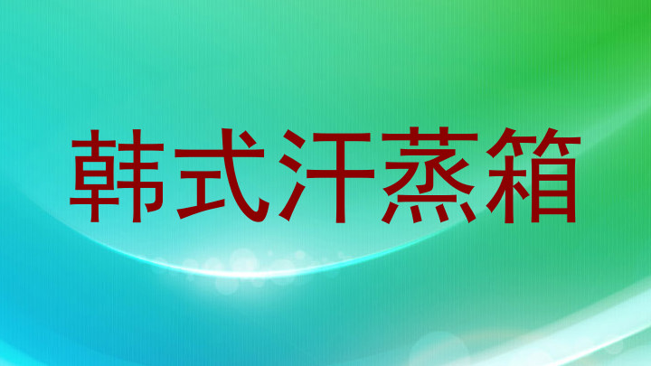韩式汗蒸箱