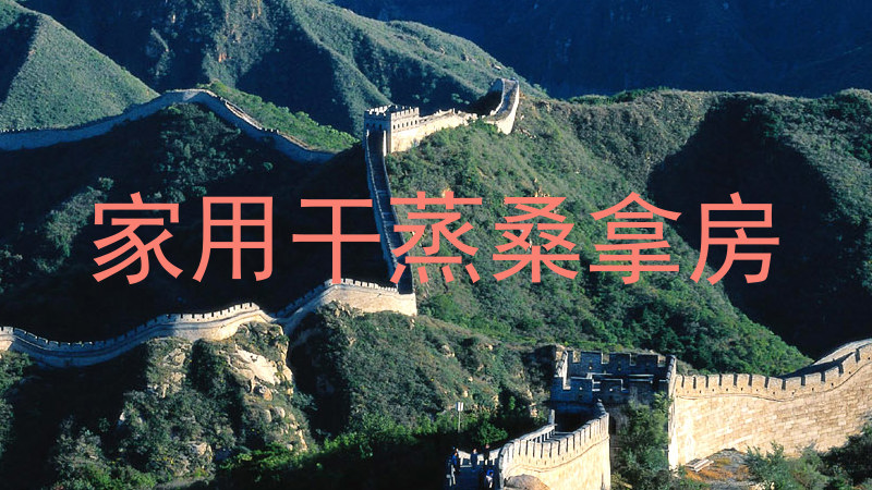 家用干蒸桑拿房