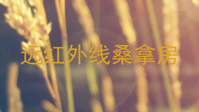 远红外线桑拿房
